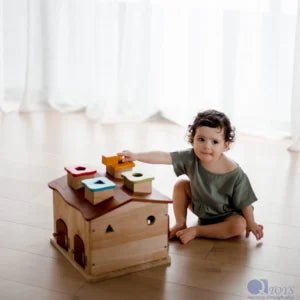 Sorting Cottage & Play House